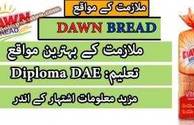 Jobs in Dawn Bread Lahore Unit 2020