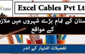 Jobs in Excel Cables Pvt Ltd 2020