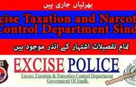 Jobs in Jobs in Excise Taxation and Narcotics Control Department Sindh