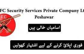 Jobs in FC Security Services Private Company Ltd Peshawar 2020