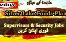 Jobs in Silver Lake Foods Plant 2020