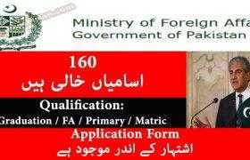 Ministry of Foreign Affairs Jobs 2020