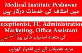 Management Staff Jobs at Medical Institute Peshawar 2020