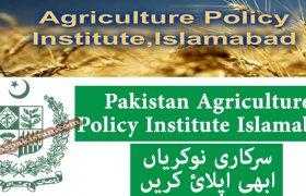 Jobs in Govt of Pakistan Agriculture Policy Institute Islamabad 2020