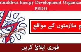 Pakhtunkhwa Energy Development Organization PEDO Jobs 2020