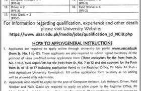 Pir Mehr Ali Shah Arid Agriculture University Rawalpindi Jobs 2020