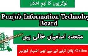 Jobs in Punjab Information Technology Board 2020