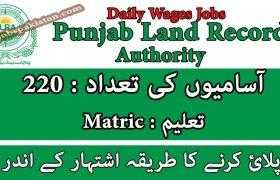 Jobs in Punjab Land Record Authority 2020