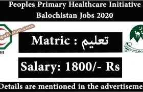 Jobs in Peoples Primary Healthcare Initiative Balochistan 2020