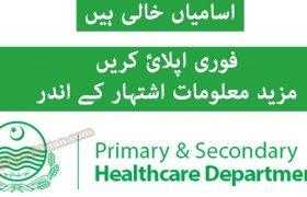 Primary and Secondary Healthcare Department Lahore Jobs 2020