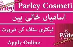 Jobs in Parley Cosmetics Lahore 2020