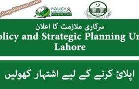 Jobs in Policy and Strategic Planning Unit Lahore 2020
