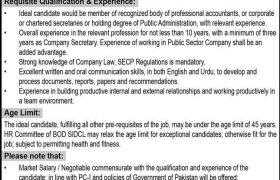 Jobs in Sindh Infrastructure Development Company Limited (SIDCL) 2020