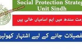 Jobs in Social Protection Strategy Unit Sindh 2020