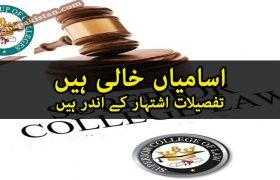 Jobs in Superior College of Law 2020