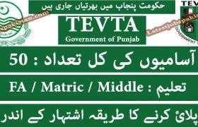 Jobs in Government of Punjab TEVTA 2020