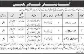 Federal Government Organization Jobs 2020
