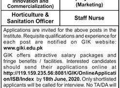 Jobs in GIK Institute of Engineering Sciences and Technology 2020