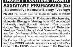 International Center For Chemical and Biological Sciences University of Karachi Jobs 2020
