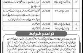 Directorate General Law and Human Rights Khyber Pakhtunkhwa Jobs 2020