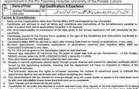 University of Punjab Lahore Jobs 2020