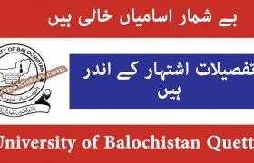 University of Balochistan Quetta Jobs 2020