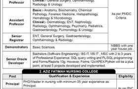 Aziz Fatimah Medical & Dental College (AFM&DC) Faisalabad Jobs 2020