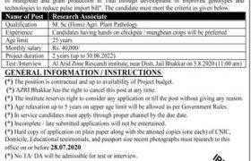 Arid Zone Research Institute Bhakkar Jobs 2020