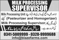 Blaze Farms Lahore Jobs 2020