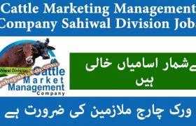 Cattle Marketing Management Company Sahiwal Division Jobs 2020