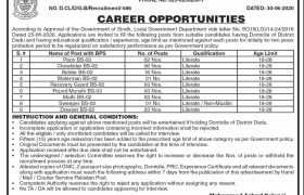 Office of the Chairman District Council Dadu Jobs 2020