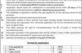 Directorate of Electronic Media and Publications Islamabad Jobs 2020