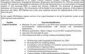 Intellectual Property Organization of Pakistan Commerce Division Jobs 2020