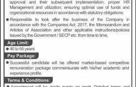 Pakistan Stone Development Company (PASDEC) Jobs 2020