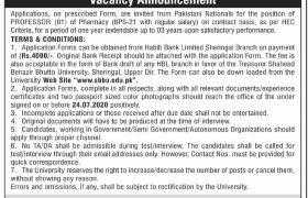 Shaheed Benazir Bhutto University Dir Upper Khyber Pakhtunkhwa Jobs 2020