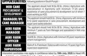 Renowned Industrial Group South Punjab Jobs 2020
