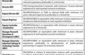 The University of Faisalabad Jobs 2020