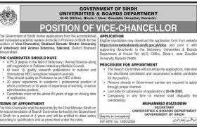 Universities & Boards Department Karachi Jobs 2020
