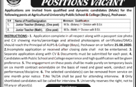 The University of Agriculture Peshawar Khyber Pakhtunkhwa Jobs 2020