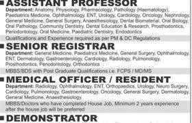 Bakhtawar Amin Medical and Dental College Multan Jobs 2020