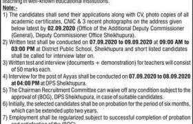 District Public School Sheikhupura Jobs 2020