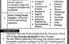 GC University Lahore Jobs 2020