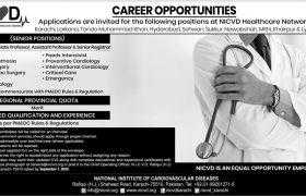 National Institute of Cardiovascular Diseases Healthcare Network Sindh Jobs 2020