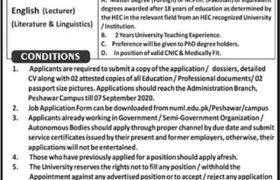 National University of Modern Languages Islamabad Peshawar Campus Jobs 2020