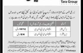 Tara Group Pakistan Jobs 2020