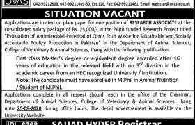 University of Veterinary & Animal Sciences Lahore Jobs 2020
