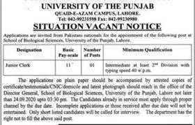 School of Biological Sciences Punjab University Lahore Jobs 2020
