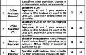 Government Organization Faisalabad Jobs 2020