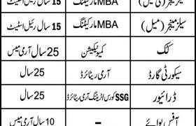Staff Required at Gujrat 2020
