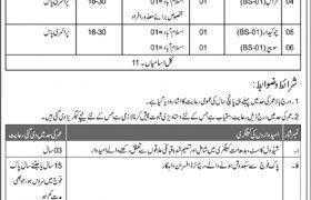 Ministry of Climate Change Jobs 2020